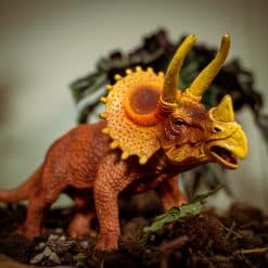 Triceratops - Den hornete dinosauren - Bilde 2