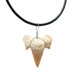 Smykke med fossil haitann â Otodus