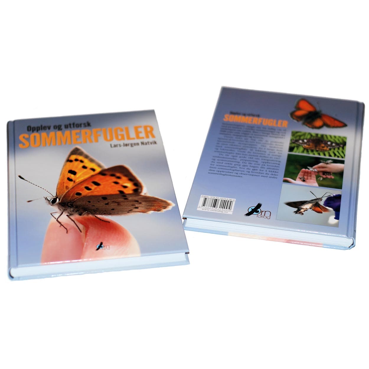 Opplev og utforsk sommerfugler - Bilde 2