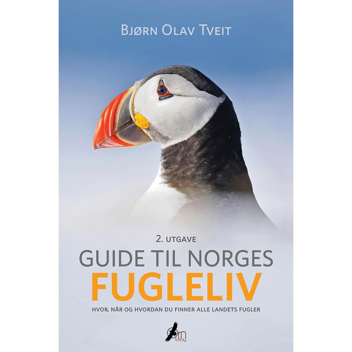 Guide til Norges fugleliv – de beste lokalitetene og mest ettertraktede artene