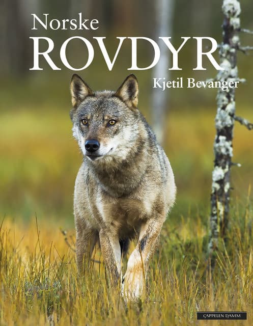 Norske rovdyr bok fra Forskerfabrikken