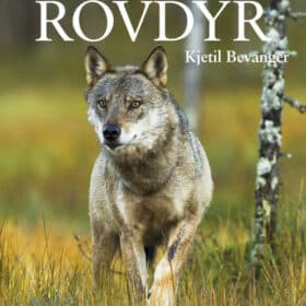 Norske rovdyr, av Kjetil Bevanger